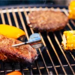 ProTemp 2 Plus in Grill