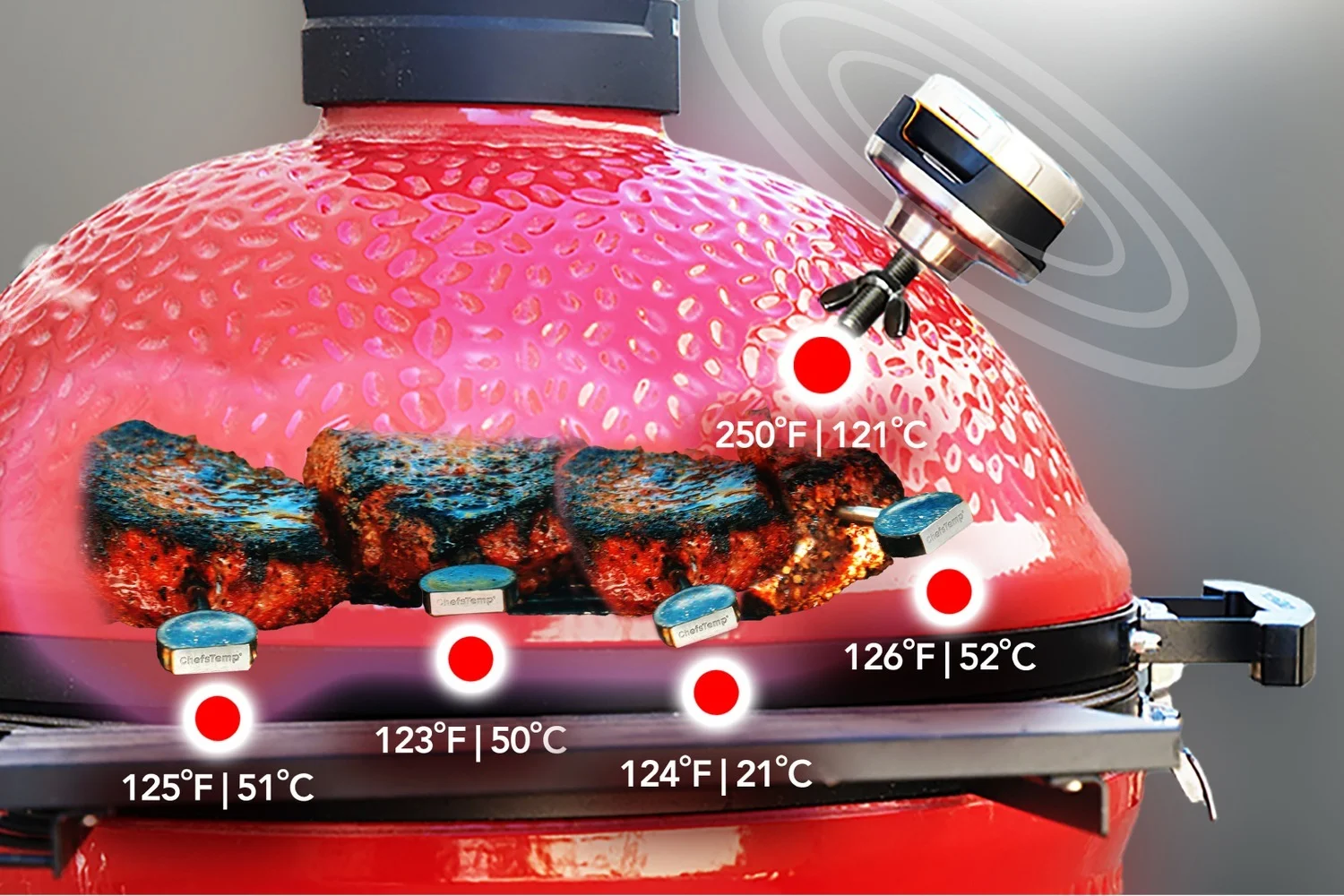 ChefsTemp ProTemp S1 Multi-probe Compatibility